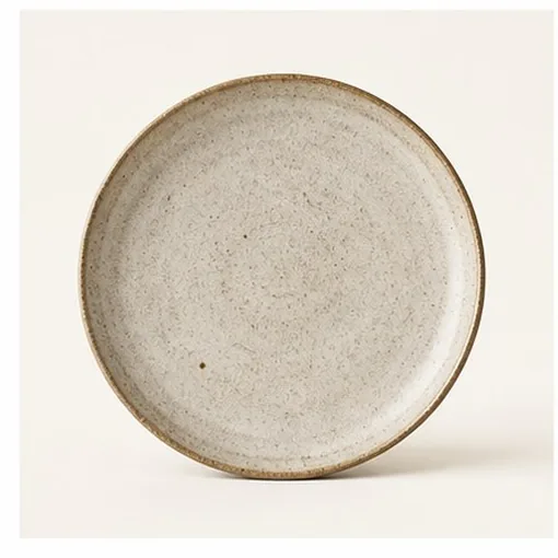 Dinner Plate — Ash Glaze